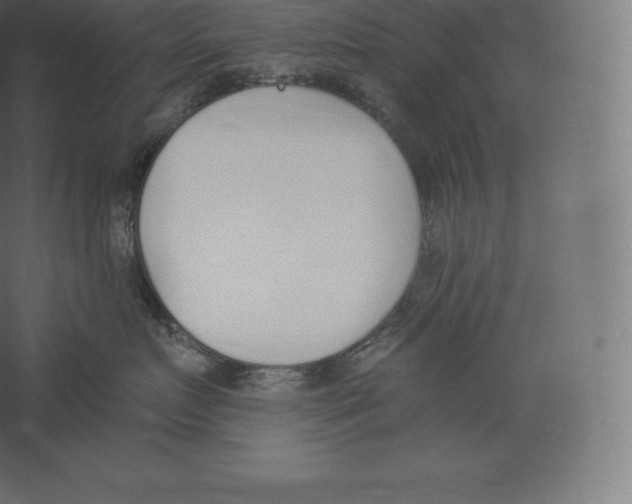 X0000060270719200511241454