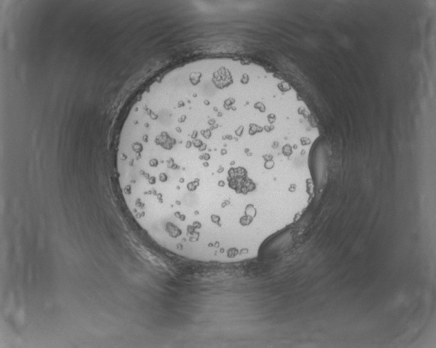 X0000060270721200511241453