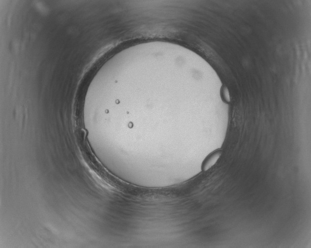 X0000060270722200511241453