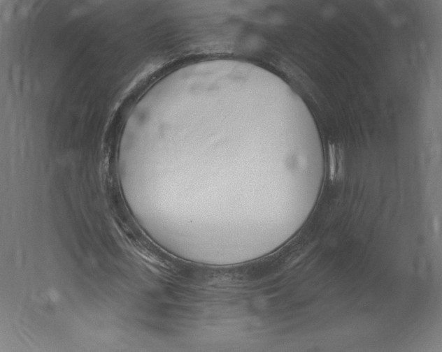 X0000060270723200511241453