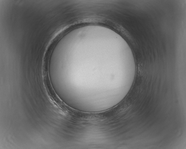 X0000060270724200511241453