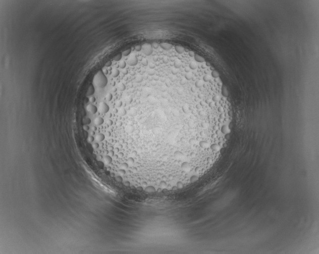 X0000060270725200511241453