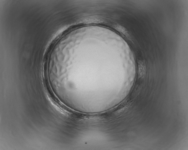 X0000060270726200511241453