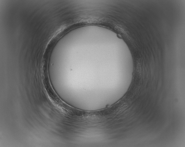 X0000060270730200511241453