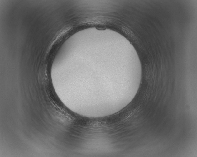 X0000060270731200511241453