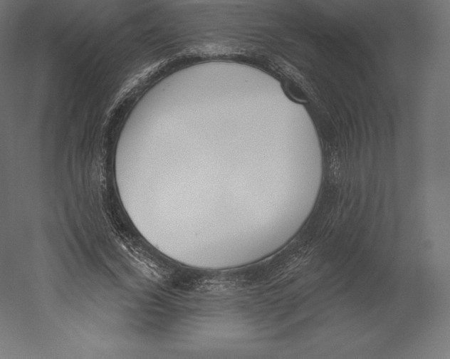 X0000060270732200511241453