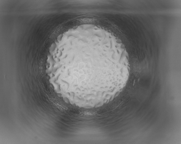 X0000060270737200511241454