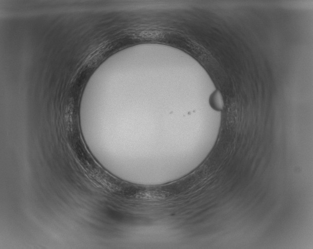 X0000060270739200511241454