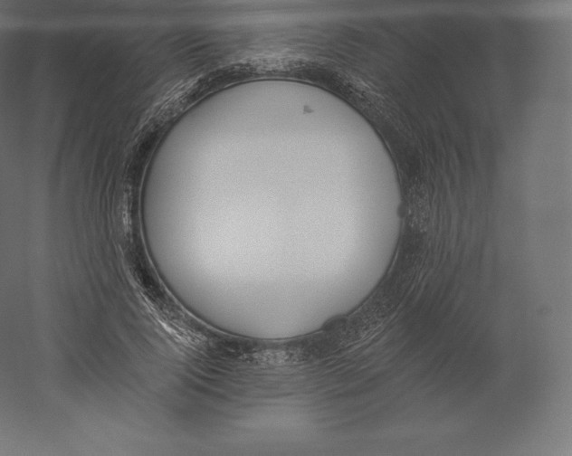 X0000060270740200511241454