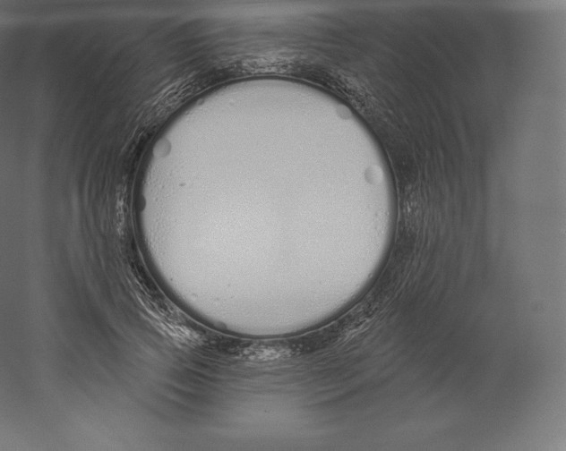 X0000060270741200511241454