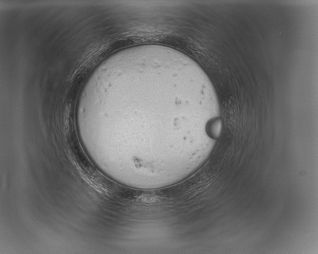 X0000060270742200511241454