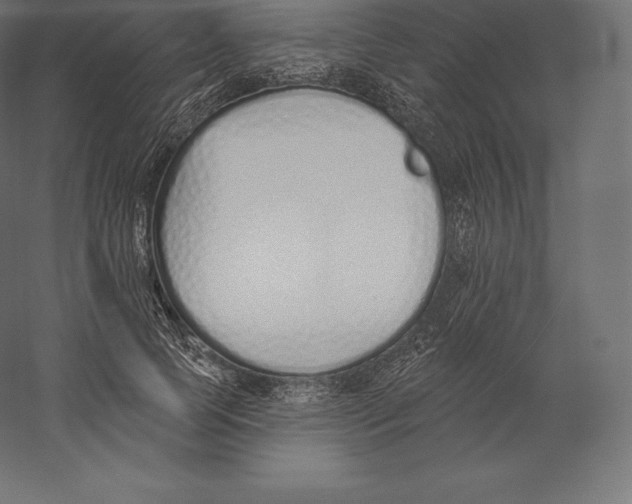 X0000060270745200511241454