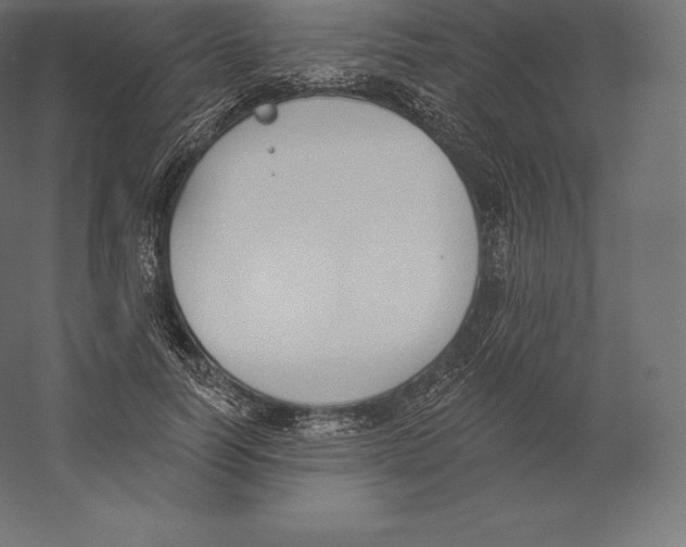 X0000060270746200511241454