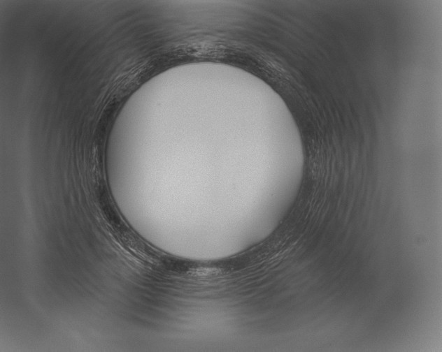 X0000060270748200511241454