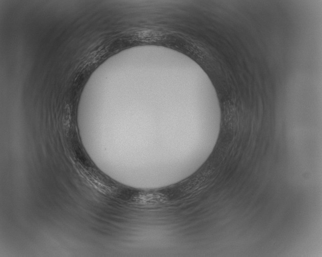 X0000060270752200511241454