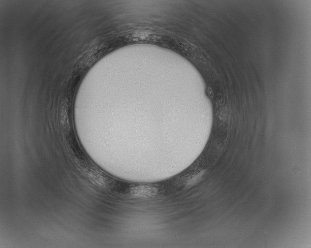 X0000060270754200511241454