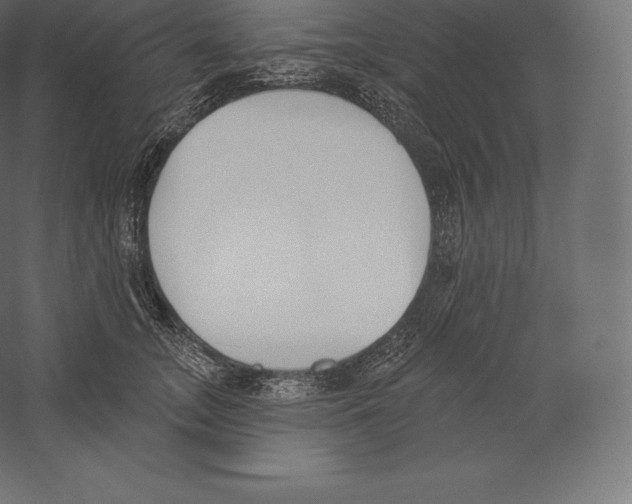 X0000060270755200511241454