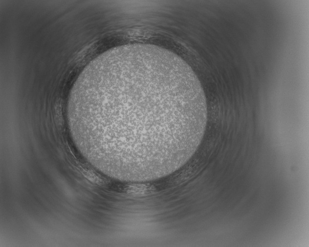 X0000060270757200511241454