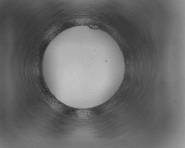 X0000060270762200511241454