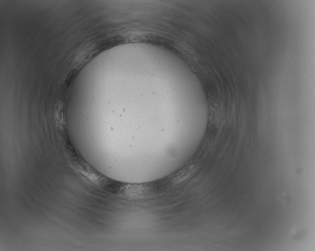 X0000060270766200511241454