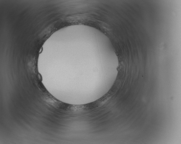 X0000060270767200511241454