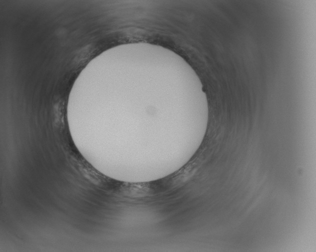 X0000060270768200511241454