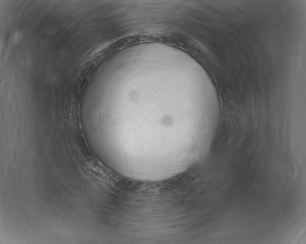 X0000060270773200511241453