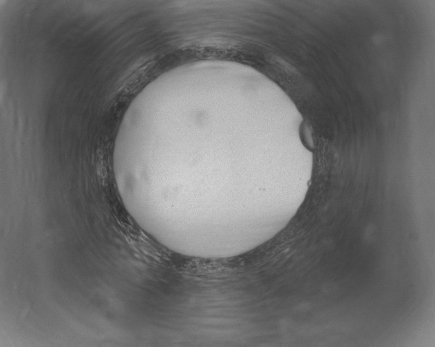 X0000060270774200511241453