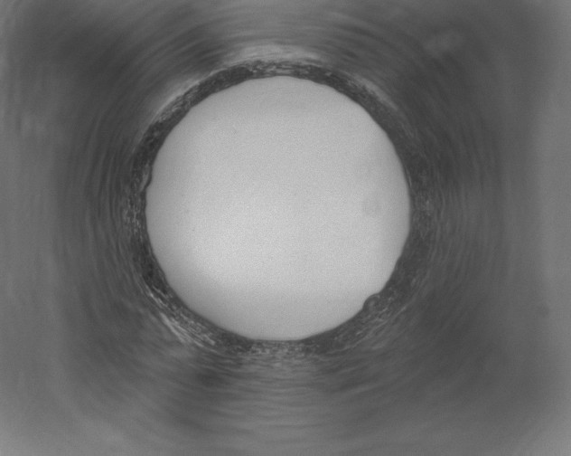 X0000060270775200511241453