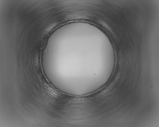 X0000060270777200511241453