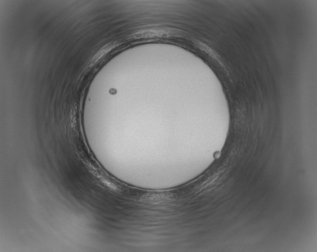 X0000060270778200511241453