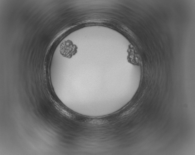 X0000060270779200511241453