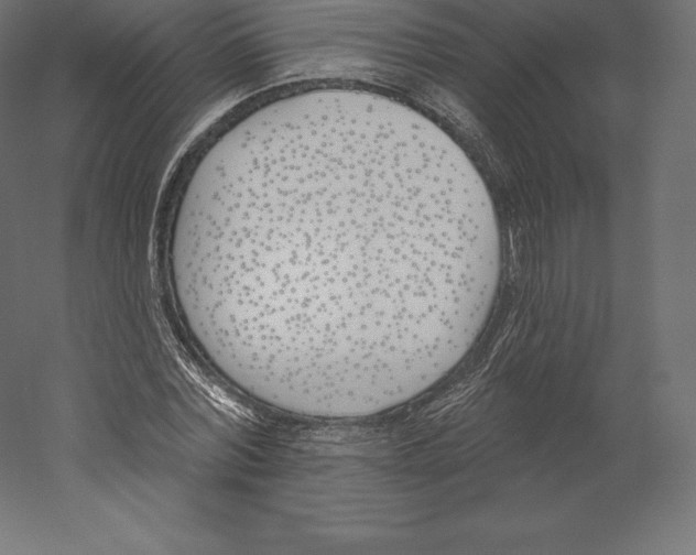 X0000060270780200511241453