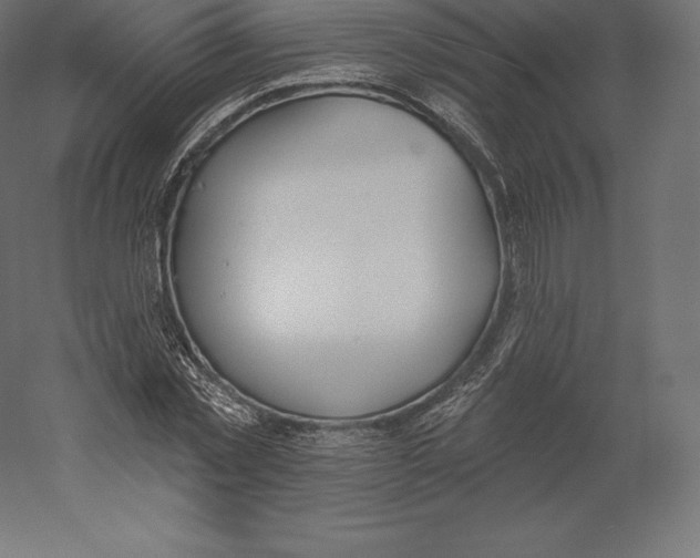 X0000060270781200511241453