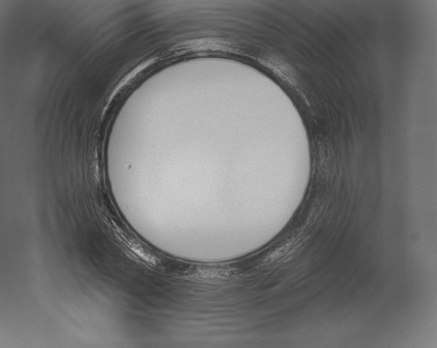 X0000060270782200511241453