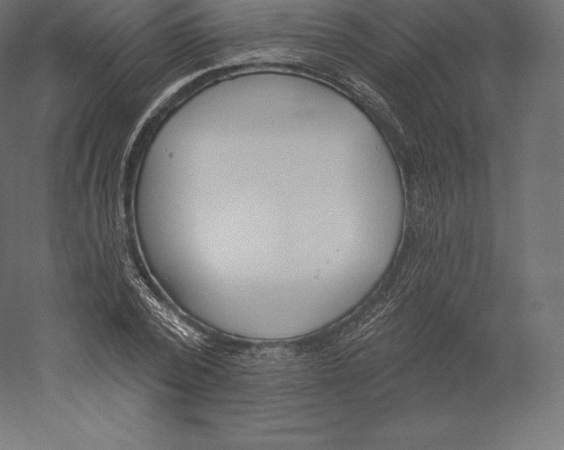 X0000060270784200511241453