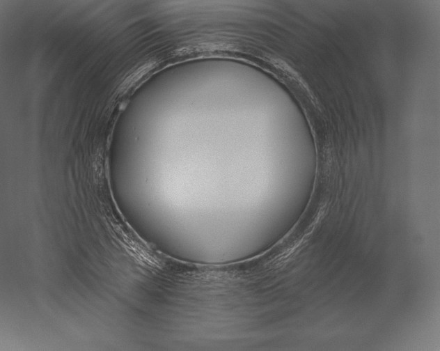 X0000060270785200511241453