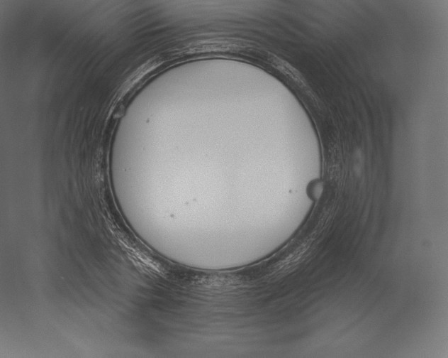 X0000060270786200511241453