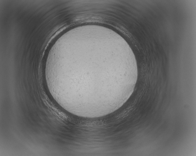 X0000060270790200511241453