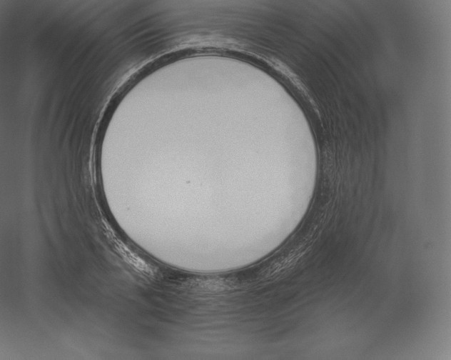 X0000060270791200511241453