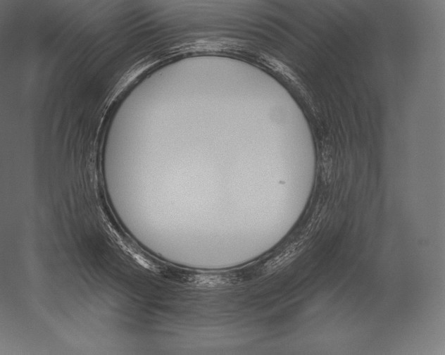 X0000060270794200511241453