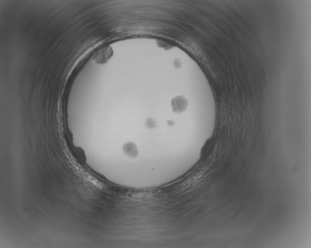 X0000060270798200511241453