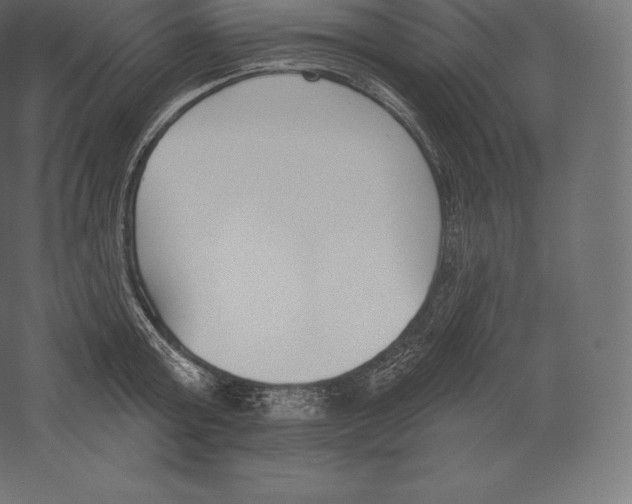 X0000060270803200511241453