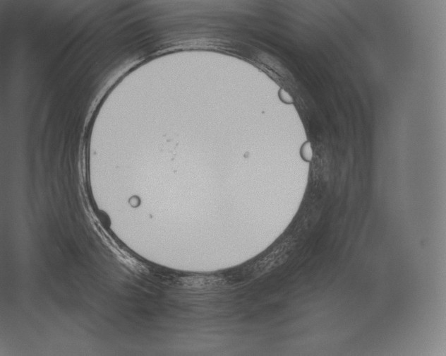 X0000060270804200511241453