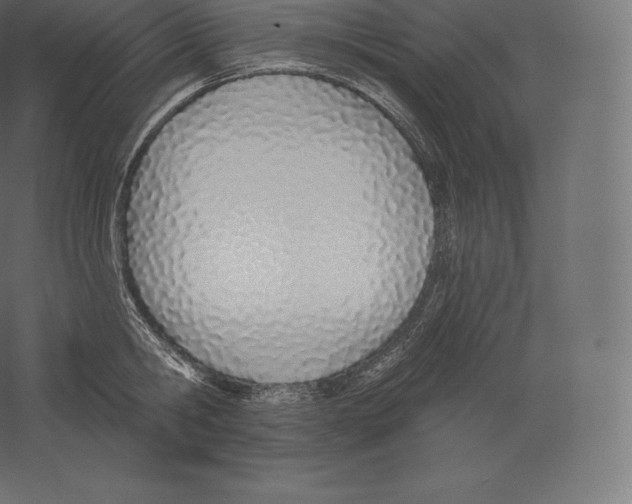 X0000060270806200511241453