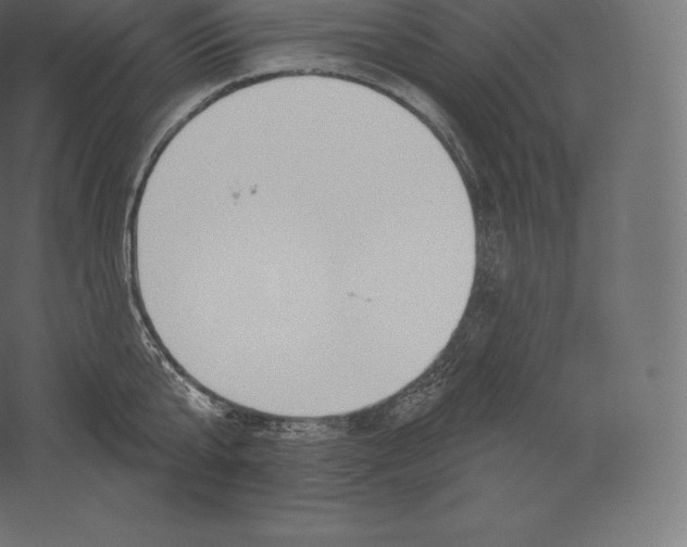 X0000060270807200511241453