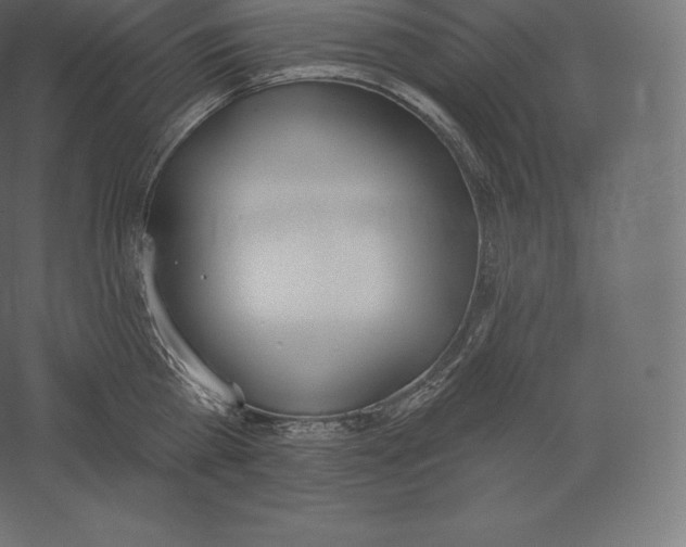 X0000060270809200511241453