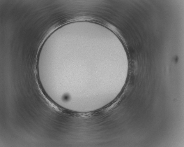 X0000060270810200511241453