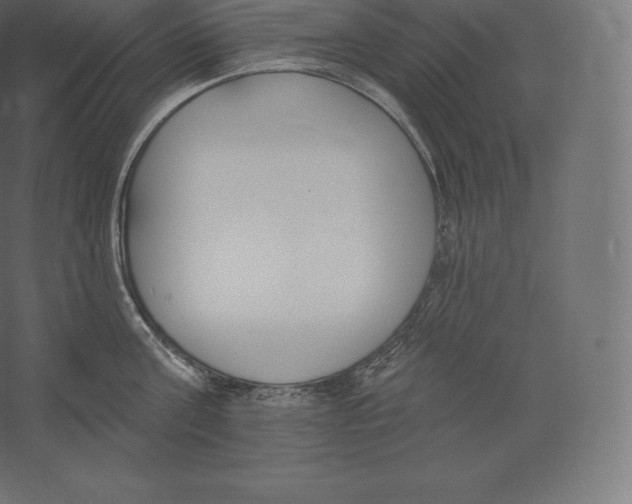 X0000060270811200511241453