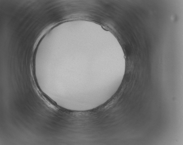 X0000060270812200511241453